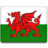 Wales Icon